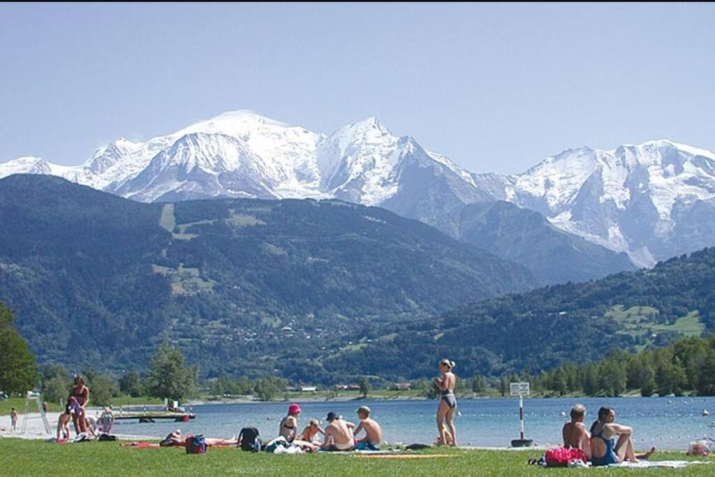 Super Appartement Cocooning Vu Mont Blanc Sallanches Eksteriør billede