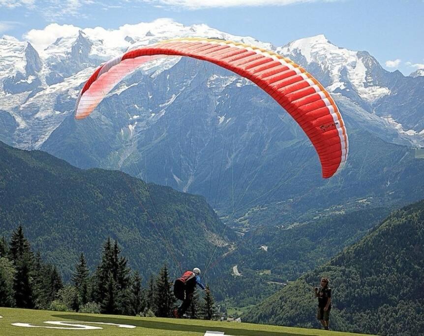 Super Appartement Cocooning Vu Mont Blanc Sallanches Eksteriør billede